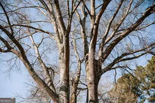 119 Ralph Bridges Rd, Lexington, GA 30648 - Photo 41