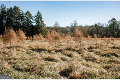 119 Ralph Bridges Road, Lexington, GA 30648 - Photo 51