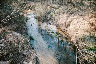 119 Ralph Bridges Rd, Lexington, GA 30648 - Photo 65