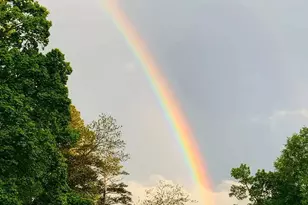 50 Birch Rd, Covington, GA 30014 - Photo 65