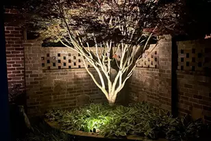 3030 Gadsden St, Alpharetta, GA 30022 - Photo 39