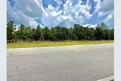 0 Highway 46, Twin City, GA 30471 - Photo 3