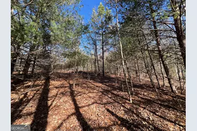 13 Gladys Lane, Young Harris, GA 30582 - Photo 9