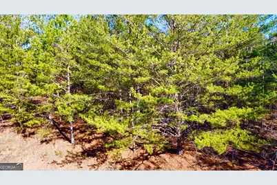 13 Gladys Lane, Young Harris, GA 30582 - Photo 7