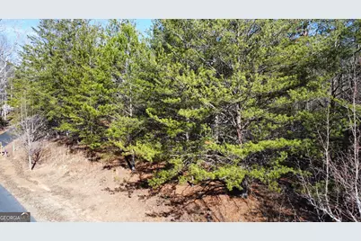 13 Gladys Lane, Young Harris, GA 30582 - Photo 11