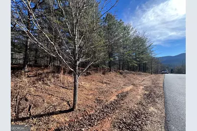 13 Gladys Lane, Young Harris, GA 30582 - Photo 3