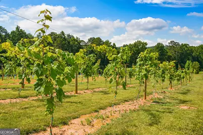 119 Inland Drive, Talking Rock, GA 30175 - Photo 11