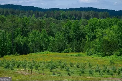 119 Inland Drive, Talking Rock, GA 30175 - Photo 9