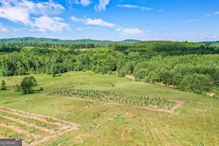 119 Inland Dr, Talking Rock, GA 30175 - Photo 13