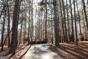 1040 Spy Glass Hill, Greensboro, GA 30642 - Photo 51