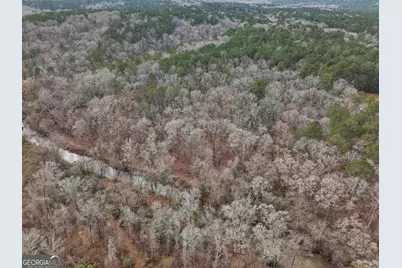 0 S 42 Hwy, Forsyth, GA 31029 - Photo 7