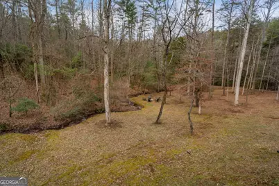 15 Bootleg Mountain Road #11, Morganton, GA 30560 - Photo 47