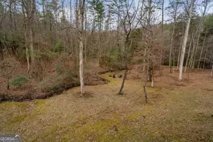 15 Bootleg Mountain Rd, Morganton, GA 30560 - Photo 47