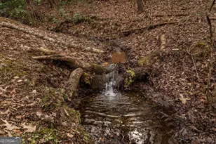 15 Bootleg Mountain Rd, Morganton, GA 30560 - Photo 53