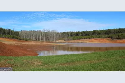 178.235 Ac Rocky Mount Road, Luthersville, GA 30251 - Photo 13
