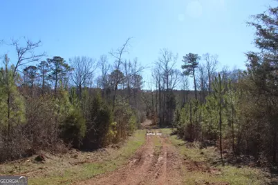 178.235 Ac Rocky Mount Road, Luthersville, GA 30251 - Photo 15