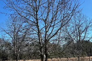 201 Claude Anderson Rd, Claxton, GA 30417 - Photo 23