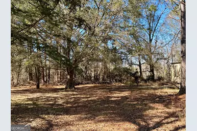 201 Claude Anderson Road, Claxton, GA 30417 - Photo 35