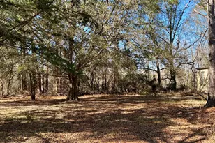 201 Claude Anderson Rd, Claxton, GA 30417 - Photo 35