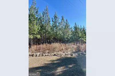 201 Claude Anderson Road, Claxton, GA 30417 - Photo 37