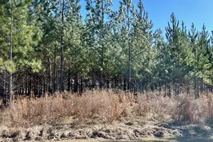 201 Claude Anderson Rd, Claxton, GA 30417 - Photo 37