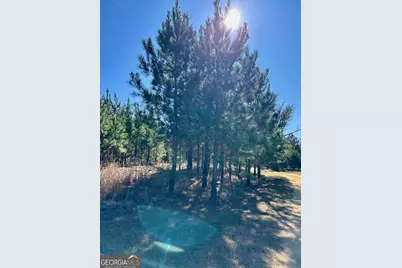 201 Claude Anderson Road, Claxton, GA 30417 - Photo 39