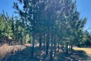 201 Claude Anderson Rd, Claxton, GA 30417 - Photo 39