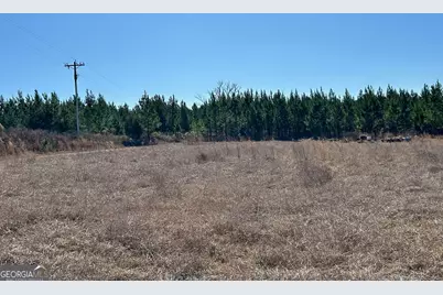 201 Claude Anderson Road, Claxton, GA 30417 - Photo 33