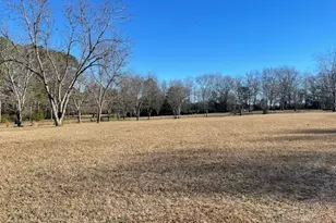 425 Trice Cemetery Rd, Thomaston, GA 30286 - Photo 27