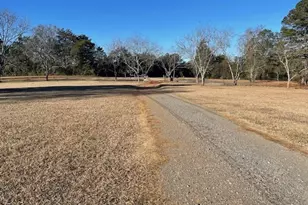 425 Trice Cemetery Rd, Thomaston, GA 30286 - Photo 29