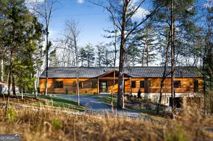 160 Black Ankle Dr, Cherry Log, GA 30522 - Photo 75