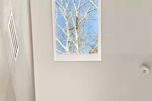 160 Black Ankle Dr, Cherry Log, GA 30522 - Photo 37