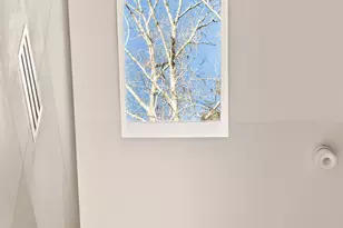 160 Black Ankle Dr, Cherry Log, GA 30522 - Photo 37