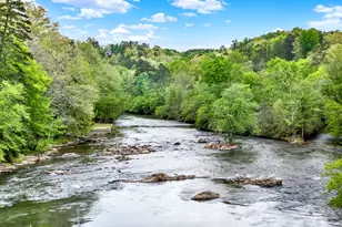 133 Muller Ln, Ellijay, GA 30540 - Photo 61