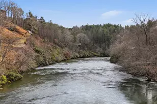 133 Muller Ln, Ellijay, GA 30540 - Photo 39