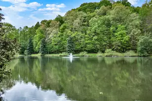 133 Muller Ln, Ellijay, GA 30540 - Photo 65