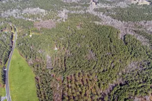 273 High Point Rd, Buchanan, GA 30113 - Photo 73