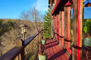 246 Adams Cir, Mineral Bluff, GA 30559 - Photo 23