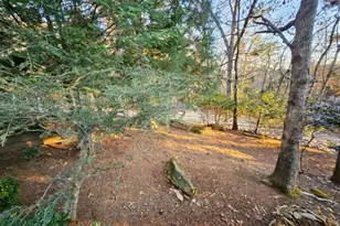 246 Adams Cir, Mineral Bluff, GA 30559 - Photo 9