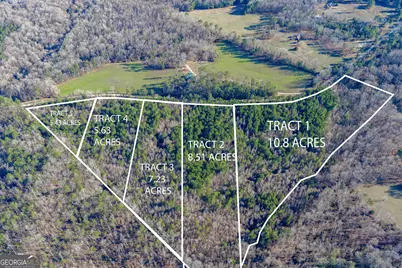 Tract 2 Dunbar School Road, Williamson, GA 30292 - Photo 3