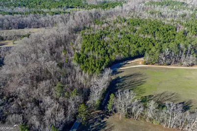 Tract 2 Dunbar School Road, Williamson, GA 30292 - Photo 15