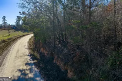 Tract 3 Dunbar School Road, Williamson, GA 30292 - Photo 5