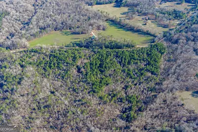 Tract 3 Dunbar School Road, Williamson, GA 30292 - Photo 13