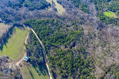 Tract 4 Dunbar School Road, Williamson, GA 30292 - Photo 11