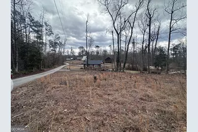 12 Cherokee Resort Road, Pine Mountain, GA 31822 - Photo 3