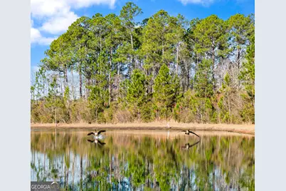 239 Daniel Trent Way, Kingsland, GA 31548 - Photo 47