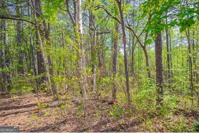0 Lake Esther Drive #LOT 1, Fairburn, GA 30213 - Photo 1