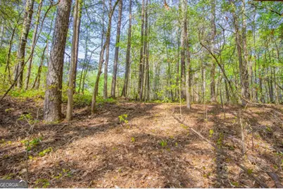 0 Lake Esther Drive #LOT 1, Fairburn, GA 30213 - Photo 5