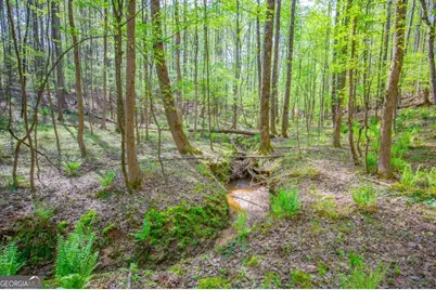 0 Lake Esther Drive #LOT 2, Fairburn, GA 30213 - Photo 3