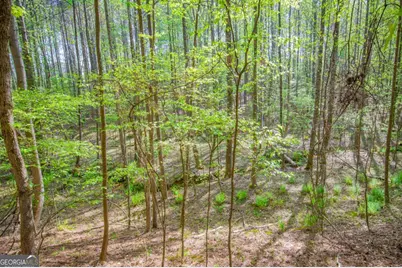 0 Lake Esther Drive #LOT 2, Fairburn, GA 30213 - Photo 5